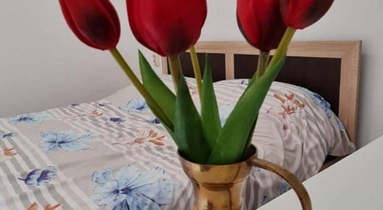 Apartment | Dogs allowed in Cluj-Napoca