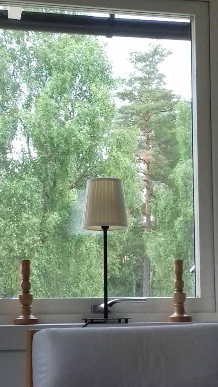 foto26