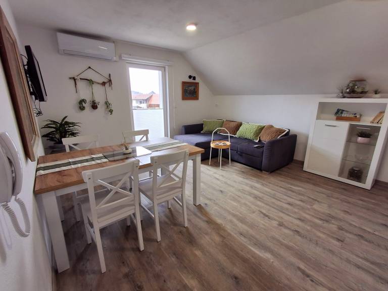 Apartment  Godič