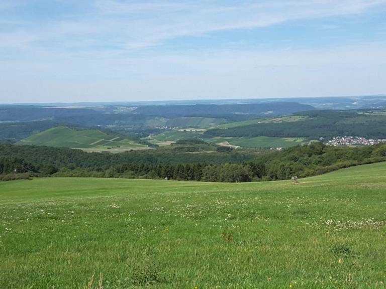 foto12