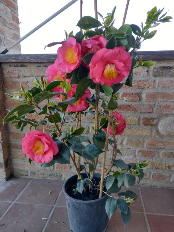 foto24