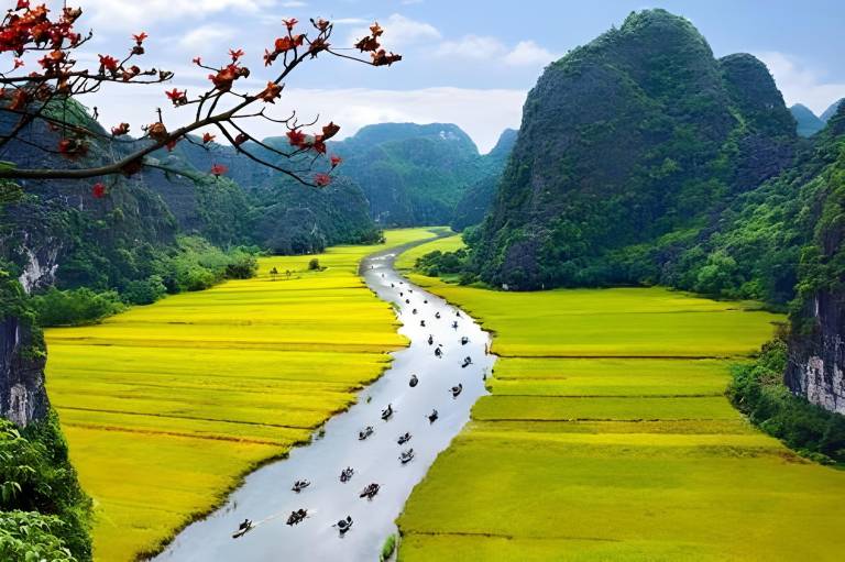Thanh Dat Homestay in Hoa Lu