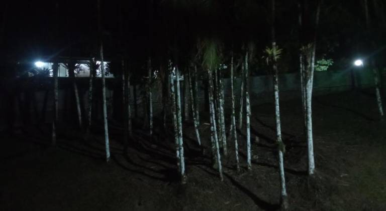 foto19