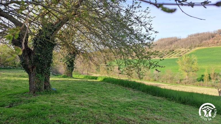 Rebellat — photo 5