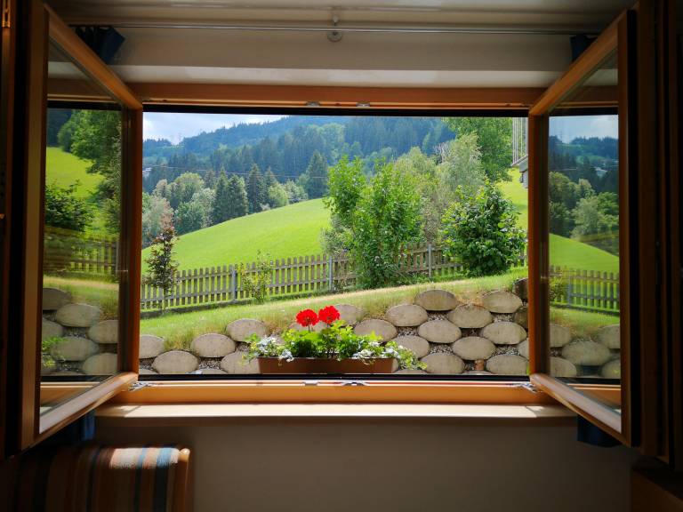 foto19