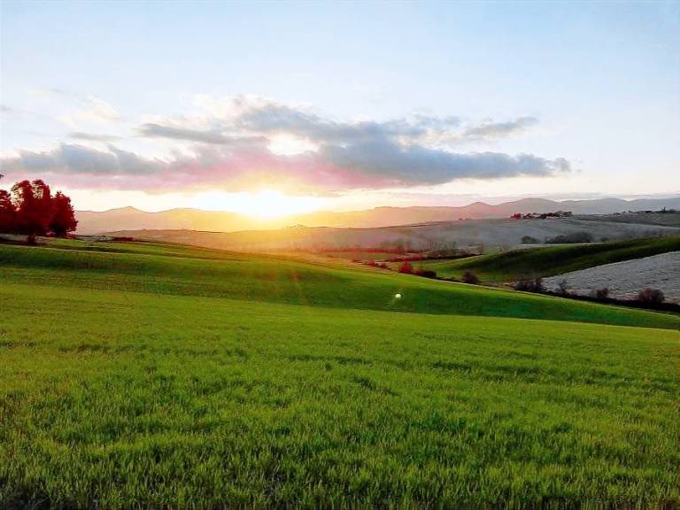 Podere Mandriato: Appartamento Matilde — photo 2