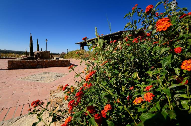 foto4
