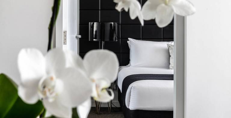 Appartamento  Chatswood