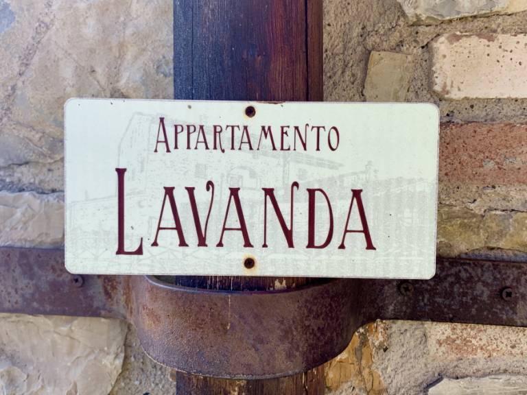 foto8