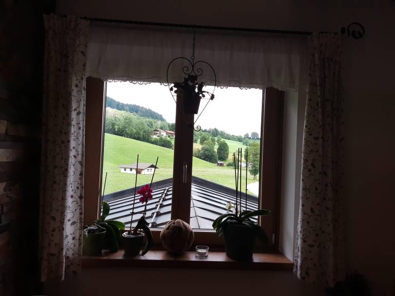 foto29