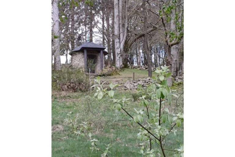 foto19