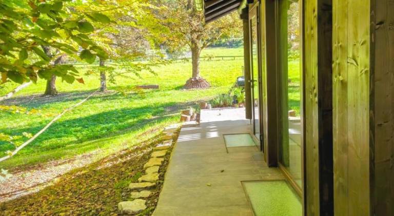 Beautiful lodge with terrace, BBQ & garden | Pets are welcome — photo 5