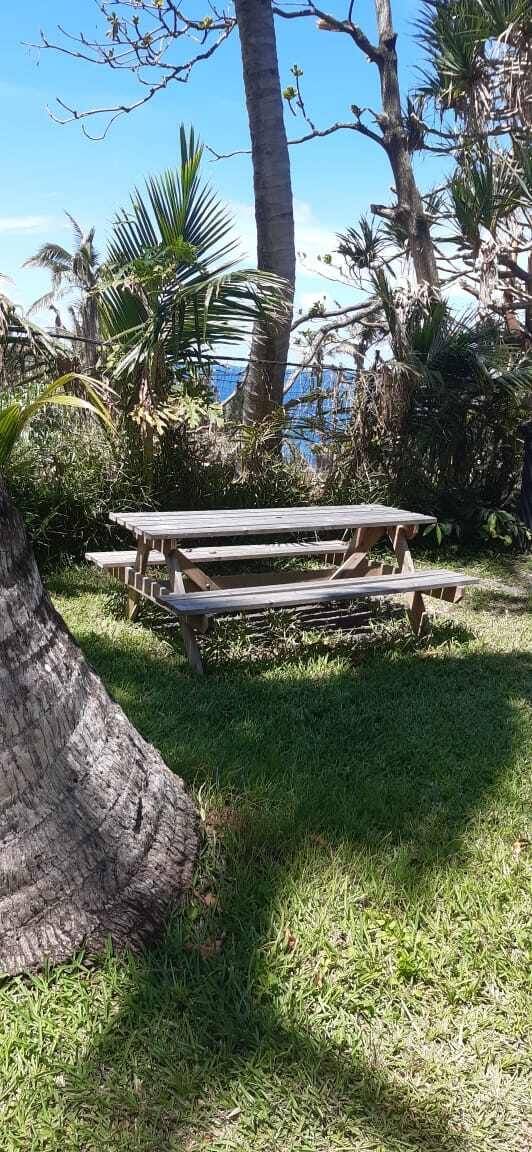 foto14
