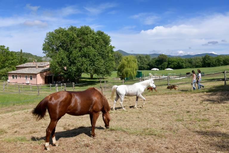 Agriturismo Casale marittimo