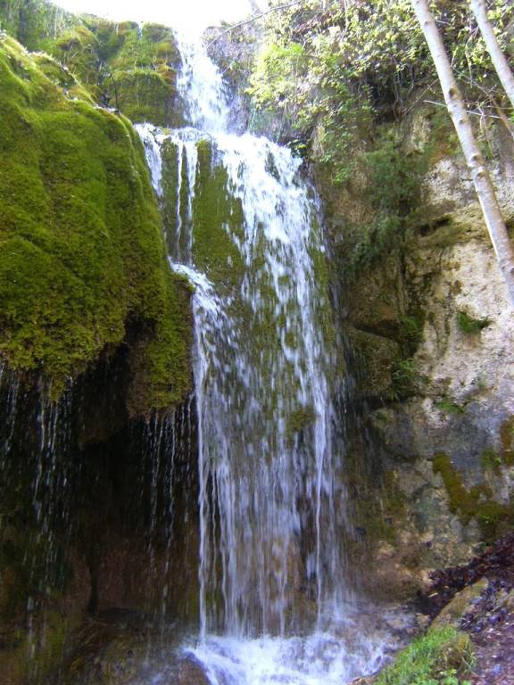 foto6