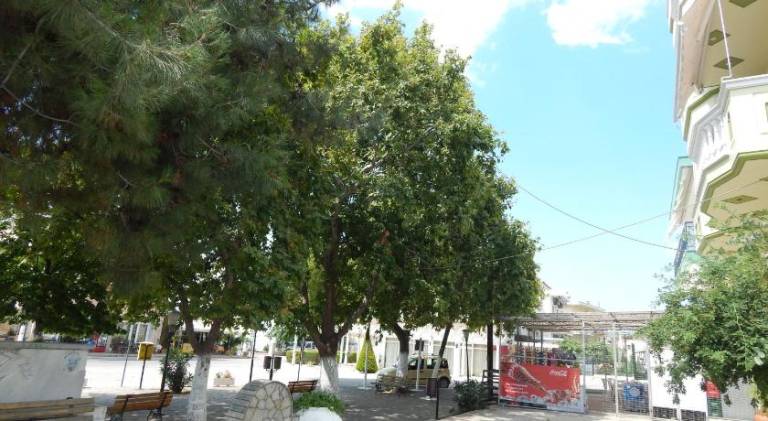 Panos Studios — photo 5