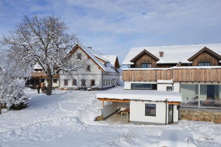 Ferienwohnung Waidhofen an der Ybbs