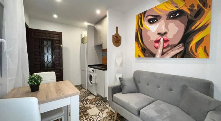 Holiday apartment | Near Plaza Mayor | Perfect for remote work | Pets are welcome in Madrid