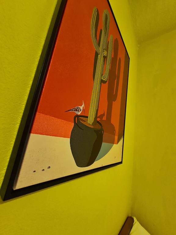 foto19