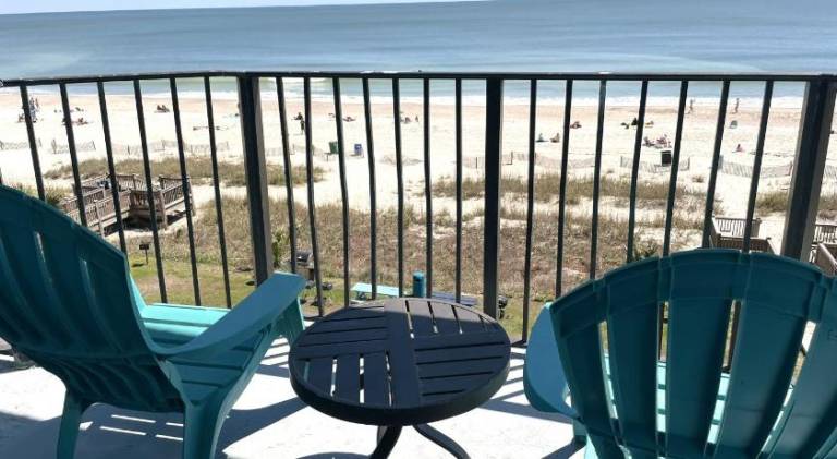 Blue Palmetto Vacation Rentals — photo 2