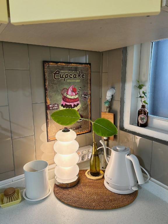 foto7