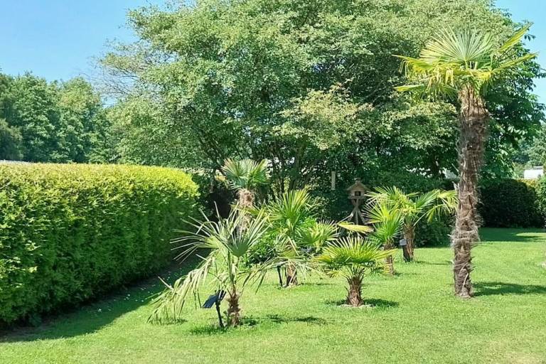 Fully equipped lovely house with yard, BBQ & patio | Pets are welcome — photo 3