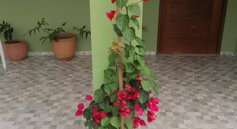 foto14