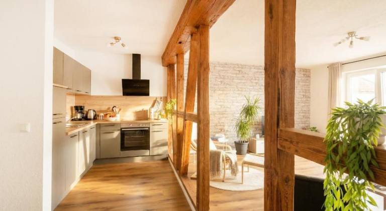 Pleasant rental apartment | Dogs allowed in Erfurt