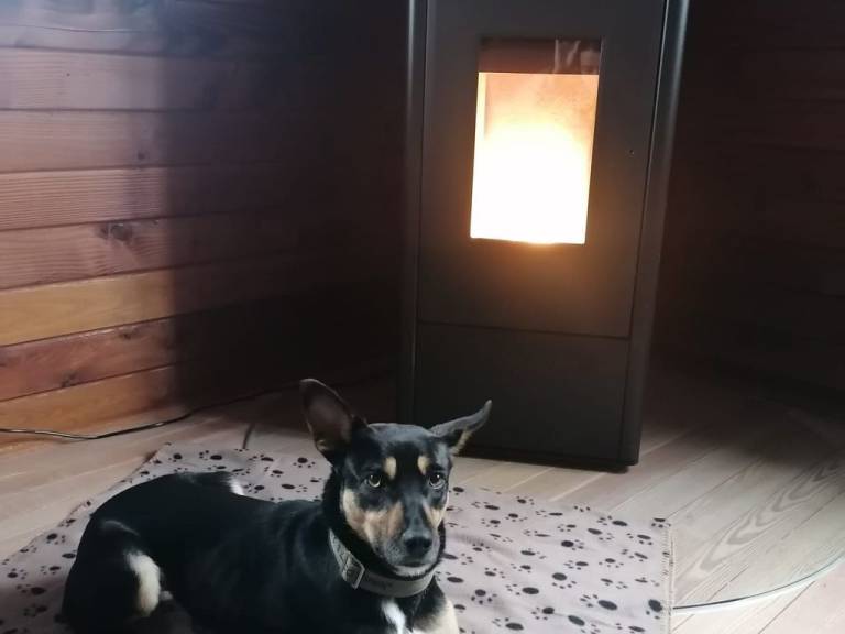 foto26
