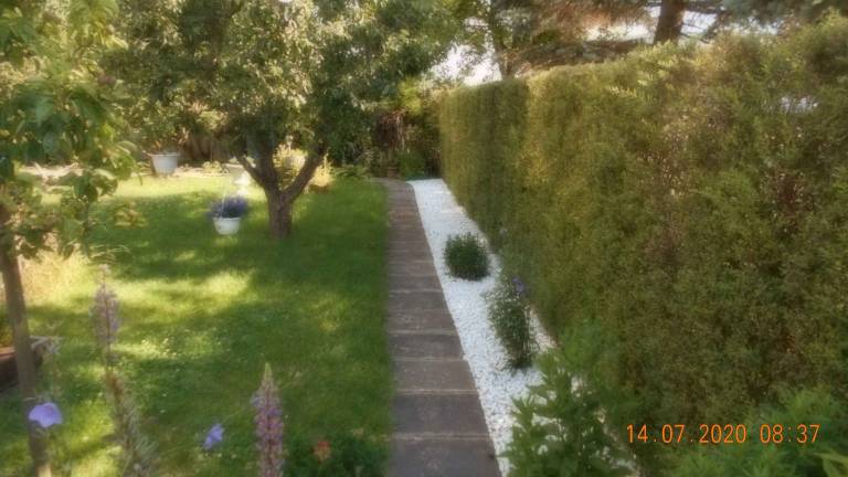 foto6
