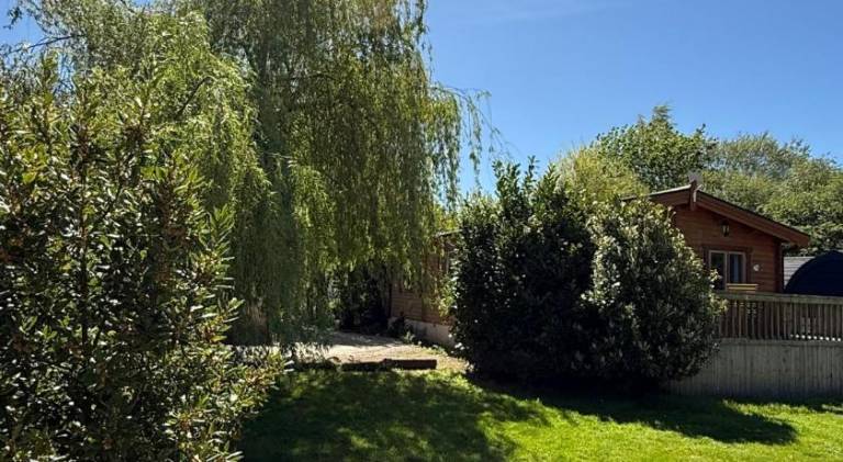 foto17