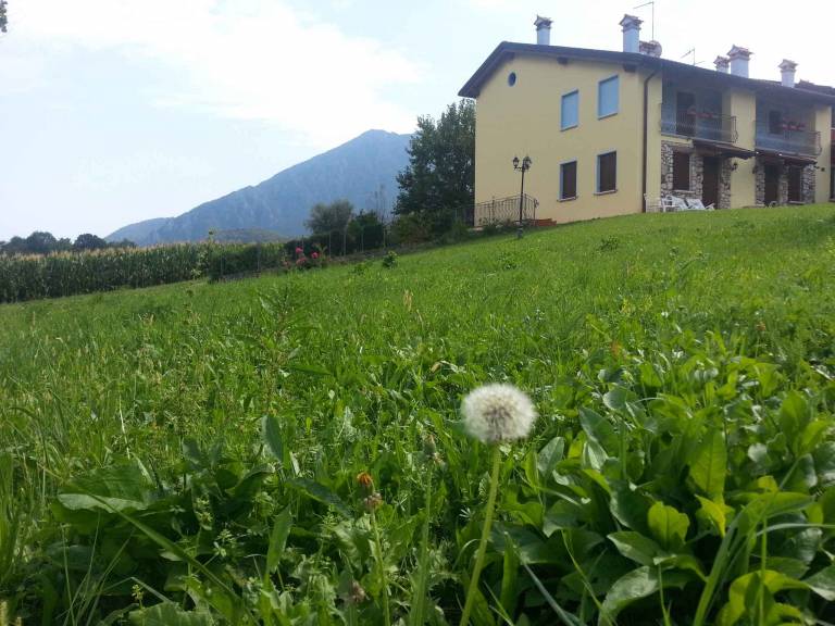 Fully equipped house with garden, patio & grill | Pet-friendly — photo 4
