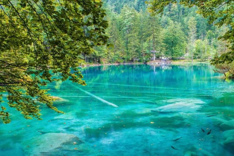Ferienhaus in Kandergrund für max. 2 Gäste