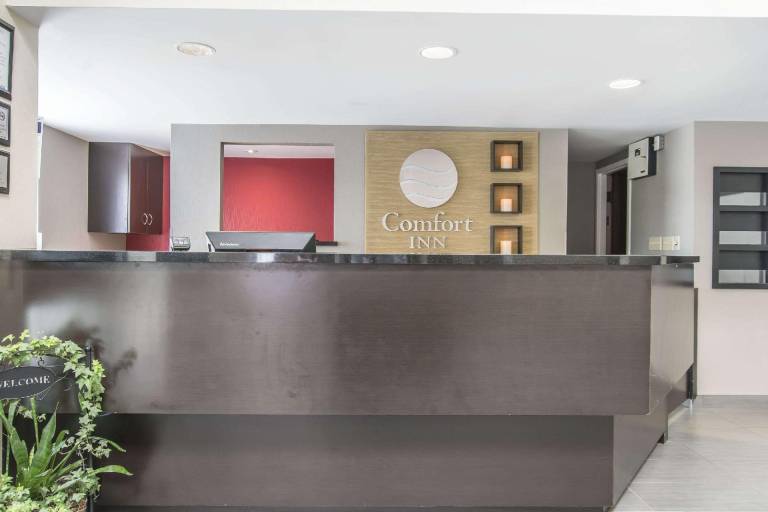 Comfort Inn — photo 5