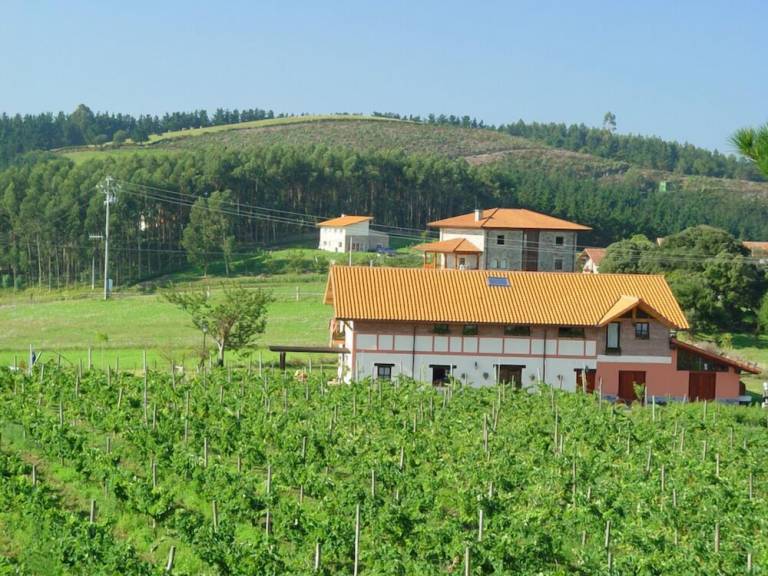 Casa rural Ibarranguelua