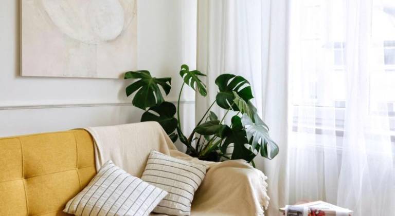 Holiday apartment | Pets are welcome in Lublin