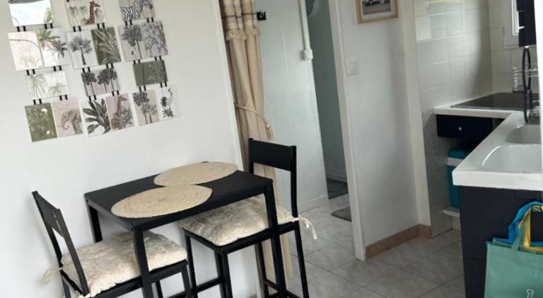 Rental apartment with terrace & barbeque in Saintes