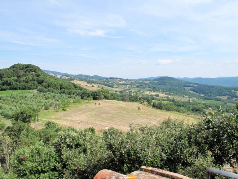 foto13