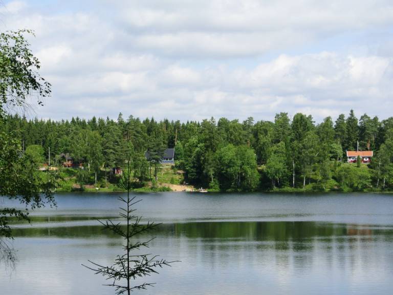 foto11