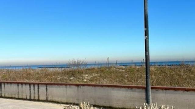 Holiday apartment with garden & patio | Close to the beach | Pets are welcome in Comacchio