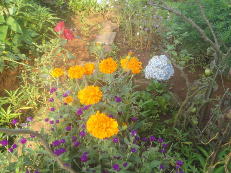 foto5