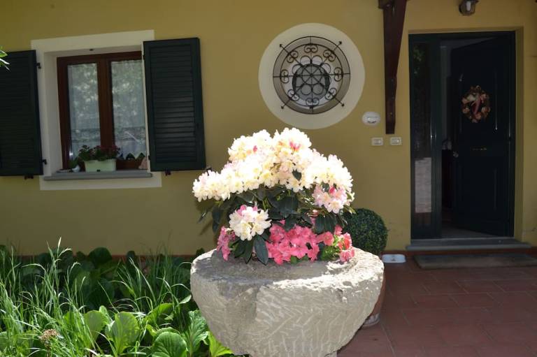 foto23