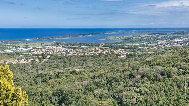 foto42