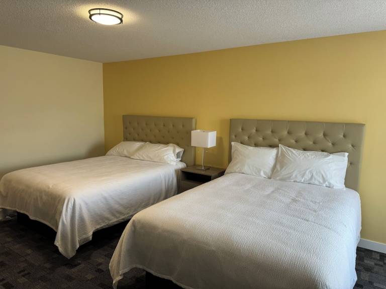 Motel Viking
