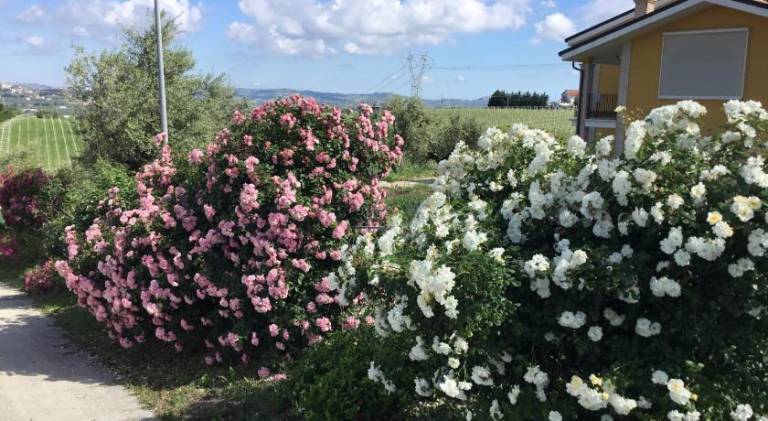 foto16