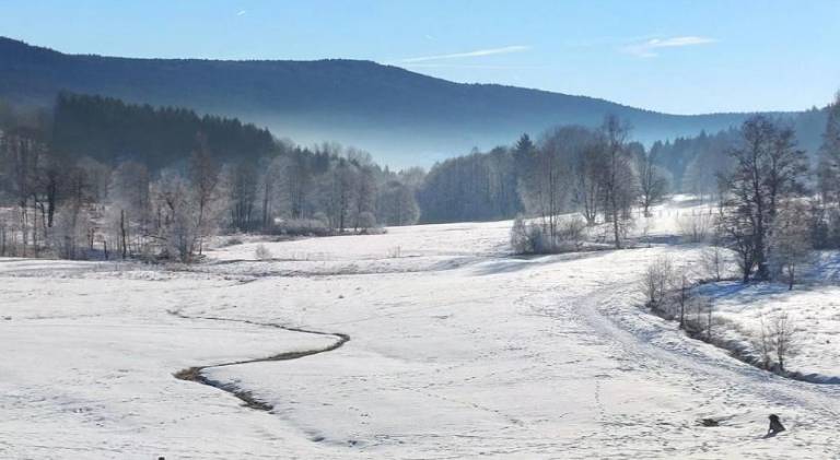 Wonderful apartment with pool | Dogs allowed in Straubing