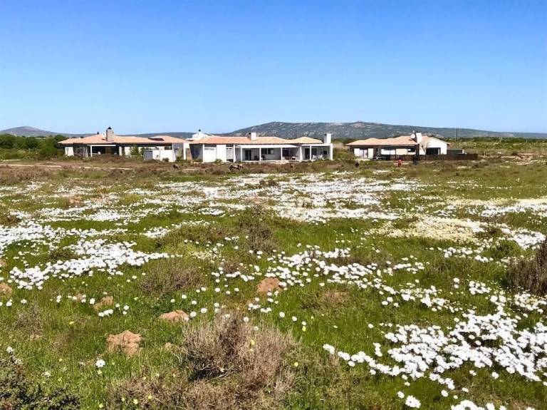 House Langebaan