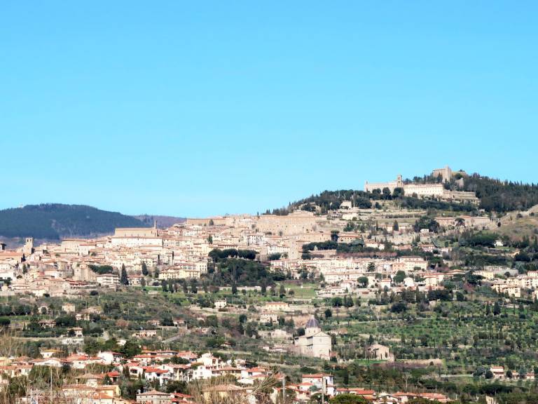Dom Cortona