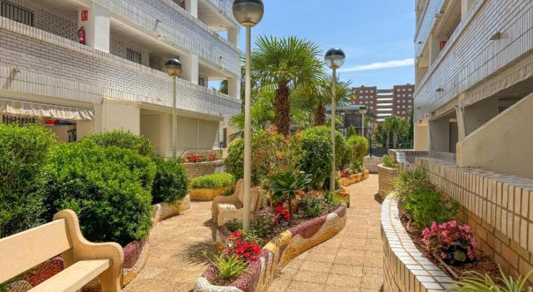 Rental apartment with private pool | Next to the beach | Pets allowed — photo 4
