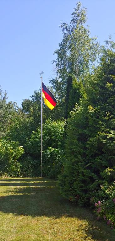foto11